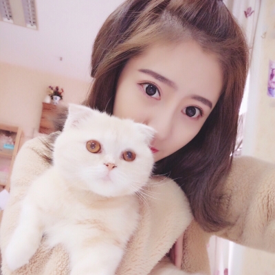洛阳公主妹子多最好的荤ktv排名